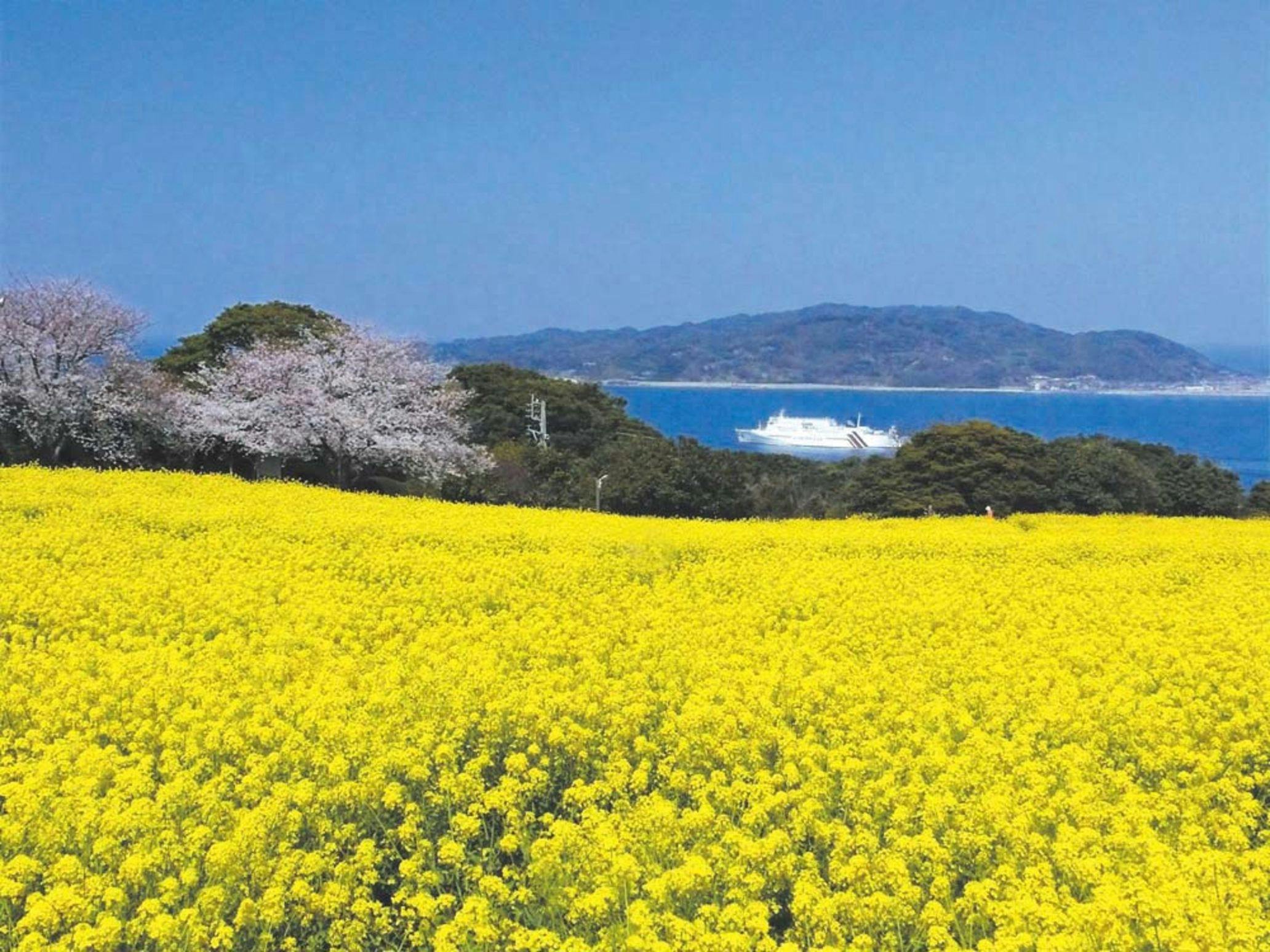 Nokonoshima Island Park Villa Sakimori