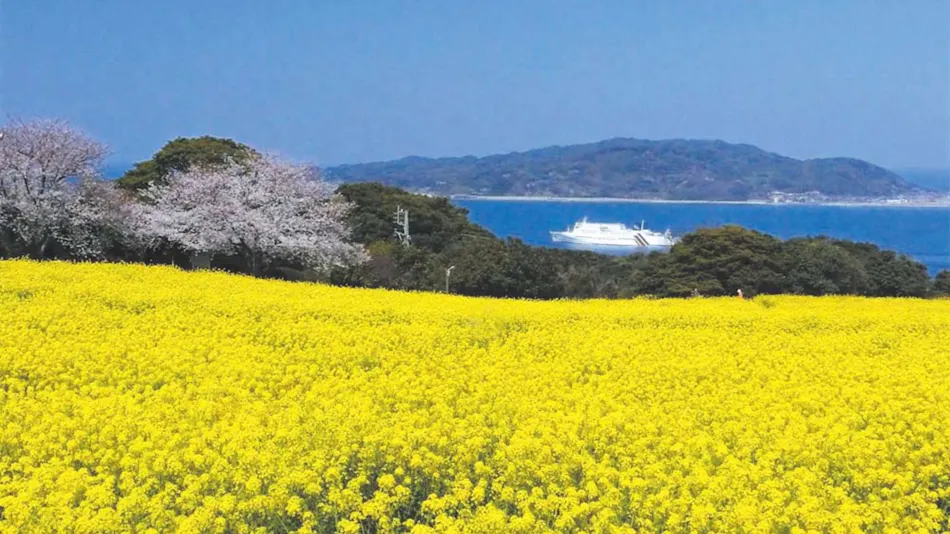 Nokonoshima Island Park Villa Sakimori