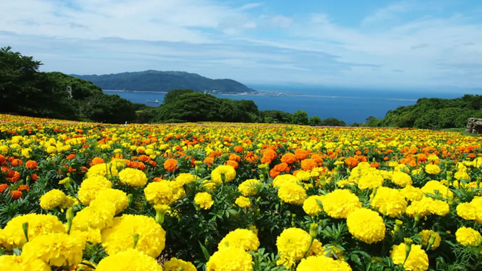 Nokonoshima Island Park Villa Sakimori