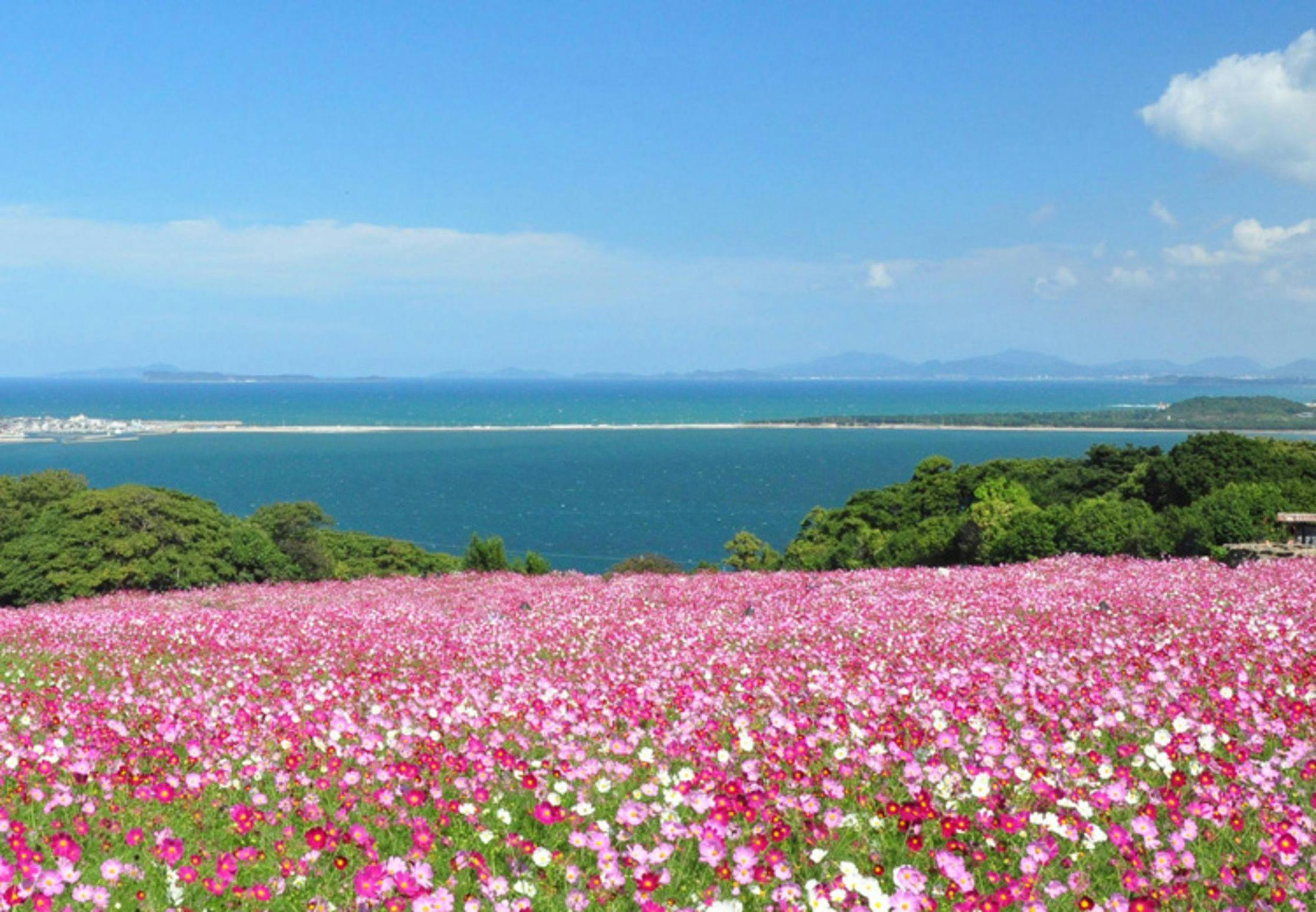 Nokonoshima Island Park Villa Sakimori