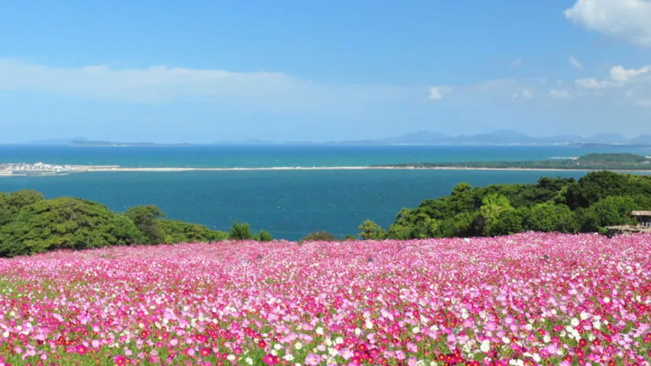 Nokonoshima Island Park Villa Sakimori