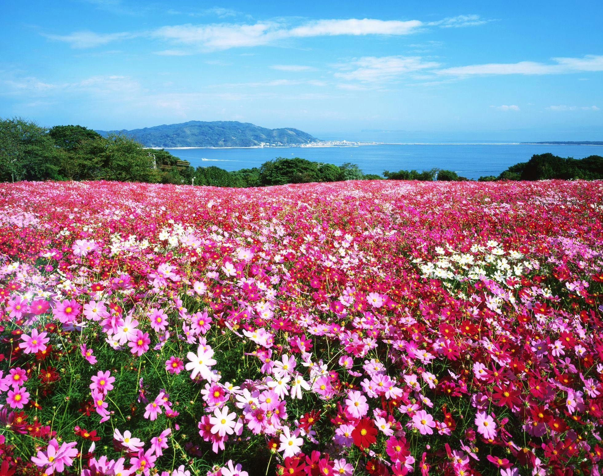 Nokonoshima Island Park Villa Sakimori