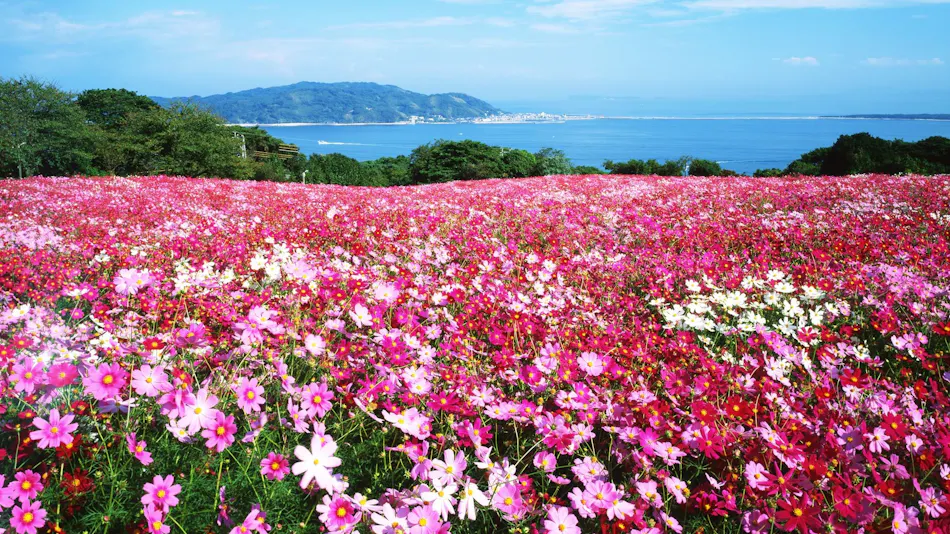 Nokonoshima Island Park Villa Sakimori
