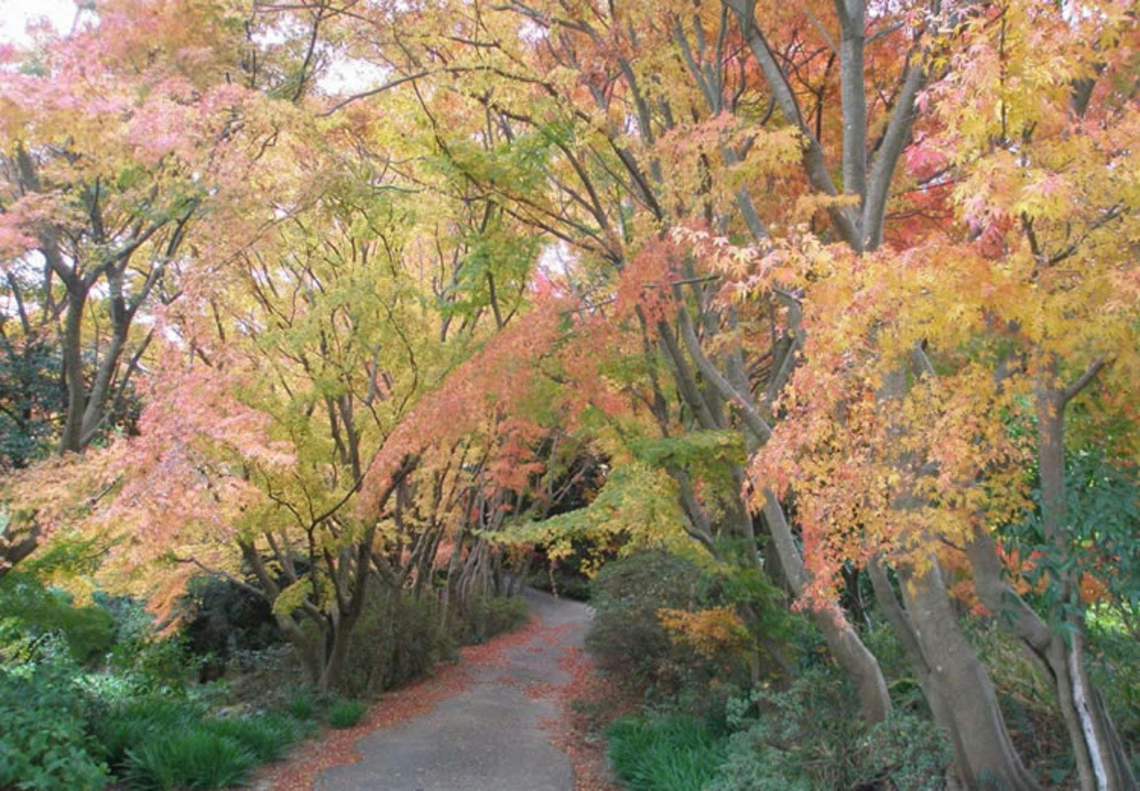 Nokonoshima Island Park Villa Sakimori