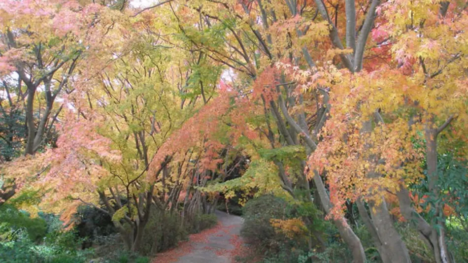 Nokonoshima Island Park Villa Sakimori