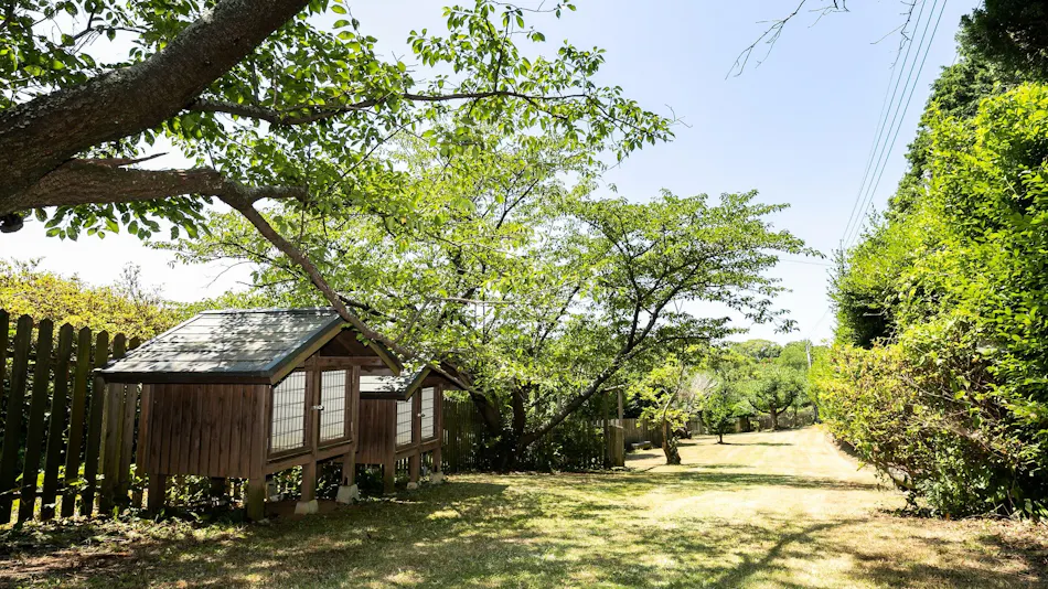 Nokonoshima Island Park Villa Sakimori