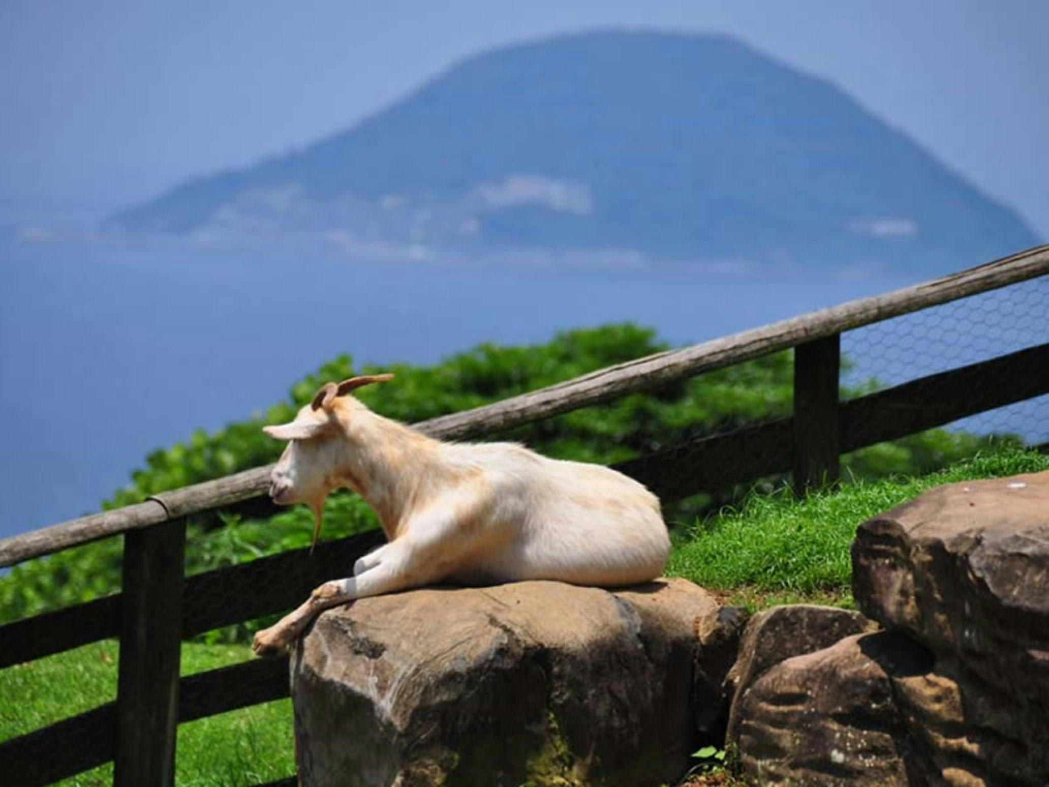 Nokonoshima Island Park Villa Sakimori