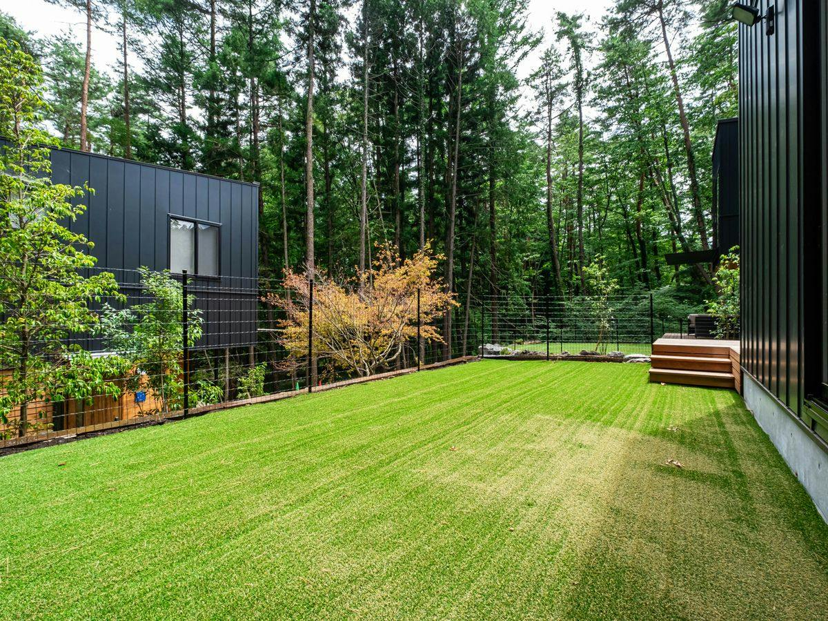 Fujino Hoshizora FJ Forest