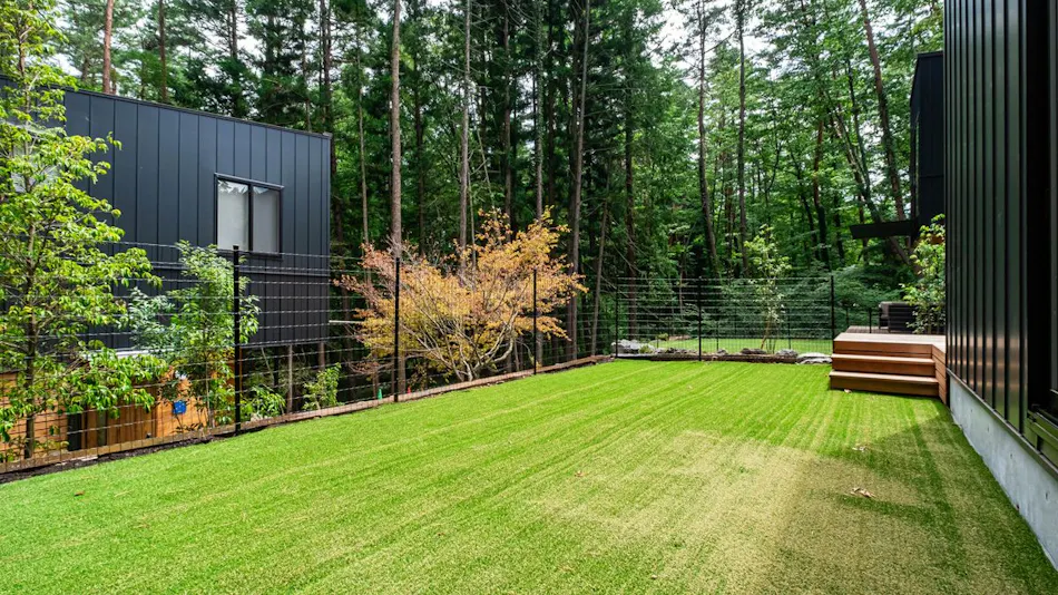 Fujino Hoshizora FJ Forest