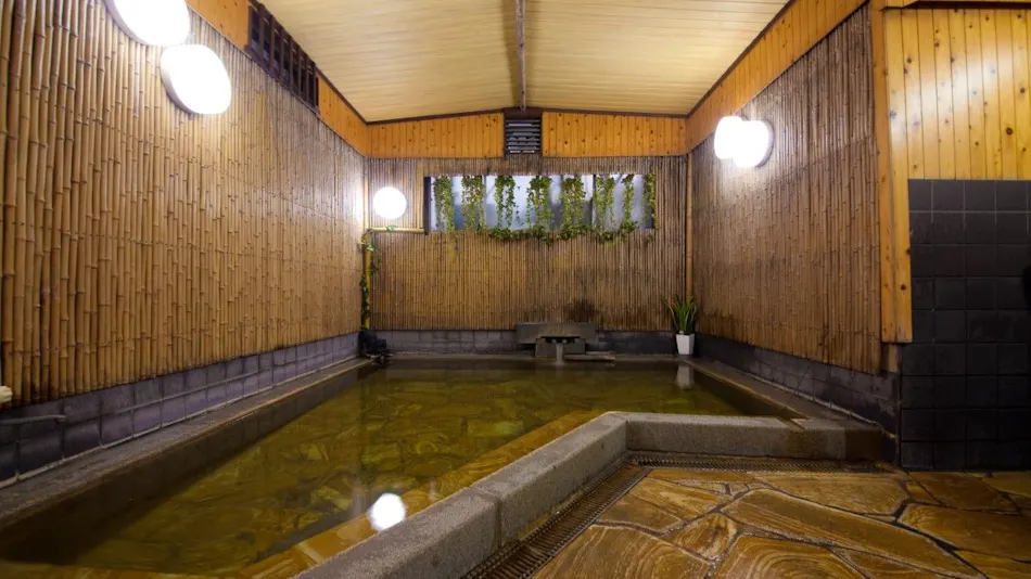 Japanese Inn Matsukameso