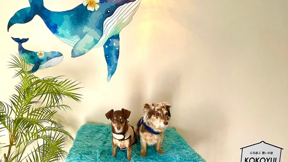 KOKOYUI GUESTHOUSE Taiji Branch