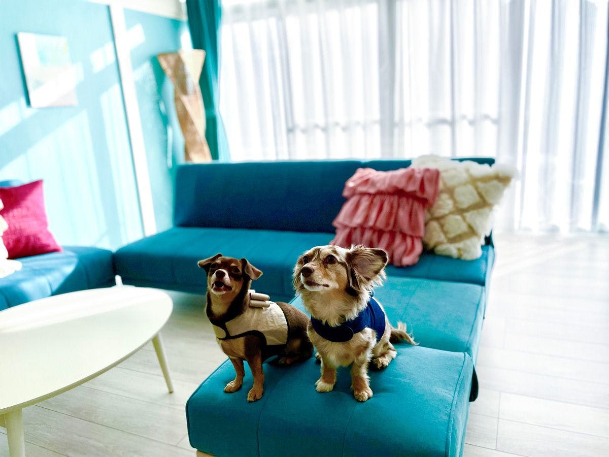 KOKOYUI GUESTHOUSE Taiji Branch