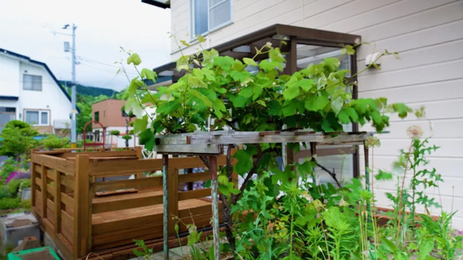 HDO Furano Garden House