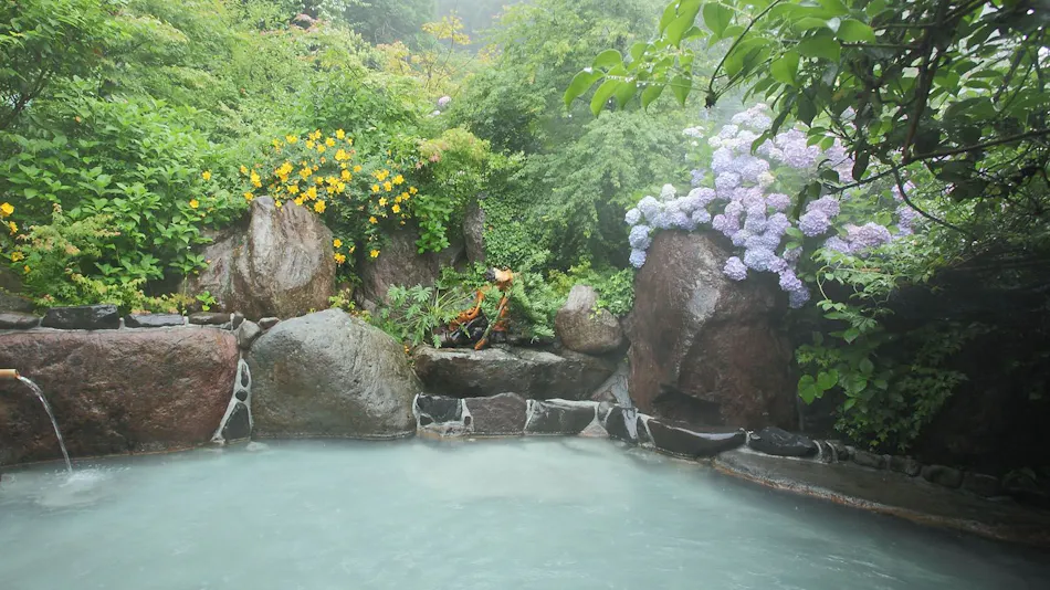 Yamakawa Onsen Shirahana Symphony