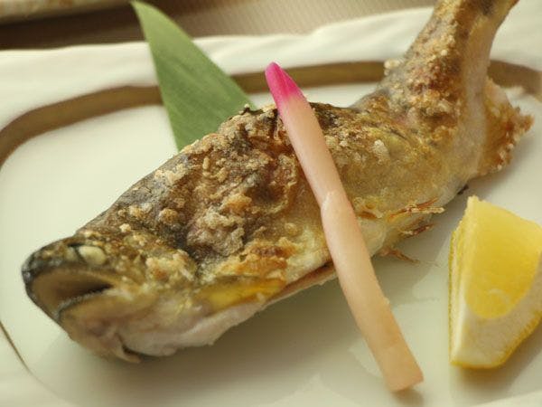 Gokase Onsen Mori no Yado Kijiya