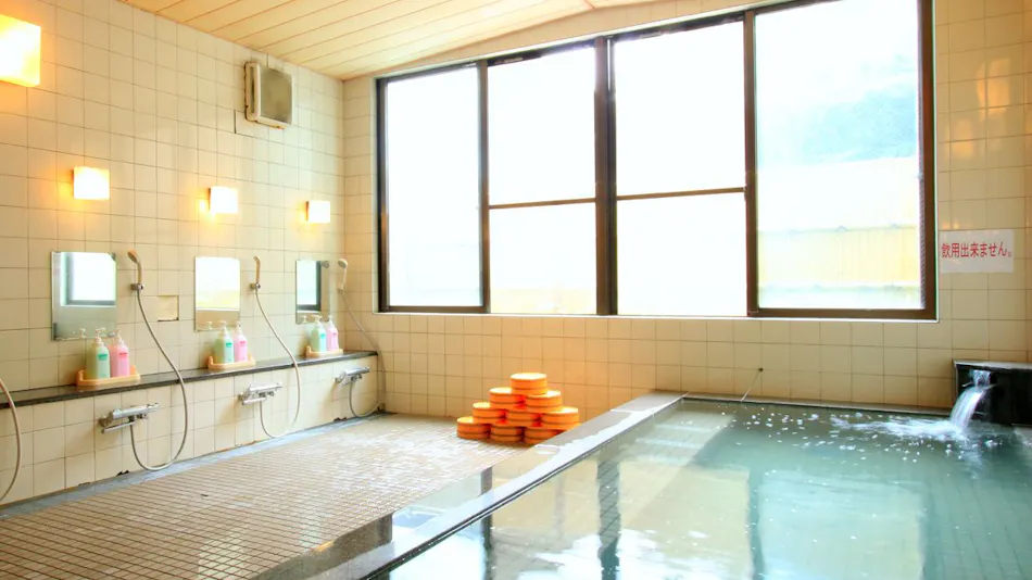 Gokase Onsen Mori no Yado Kijiya