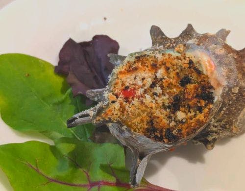 地魚食べ尽くし！本格フレンチ ※一例