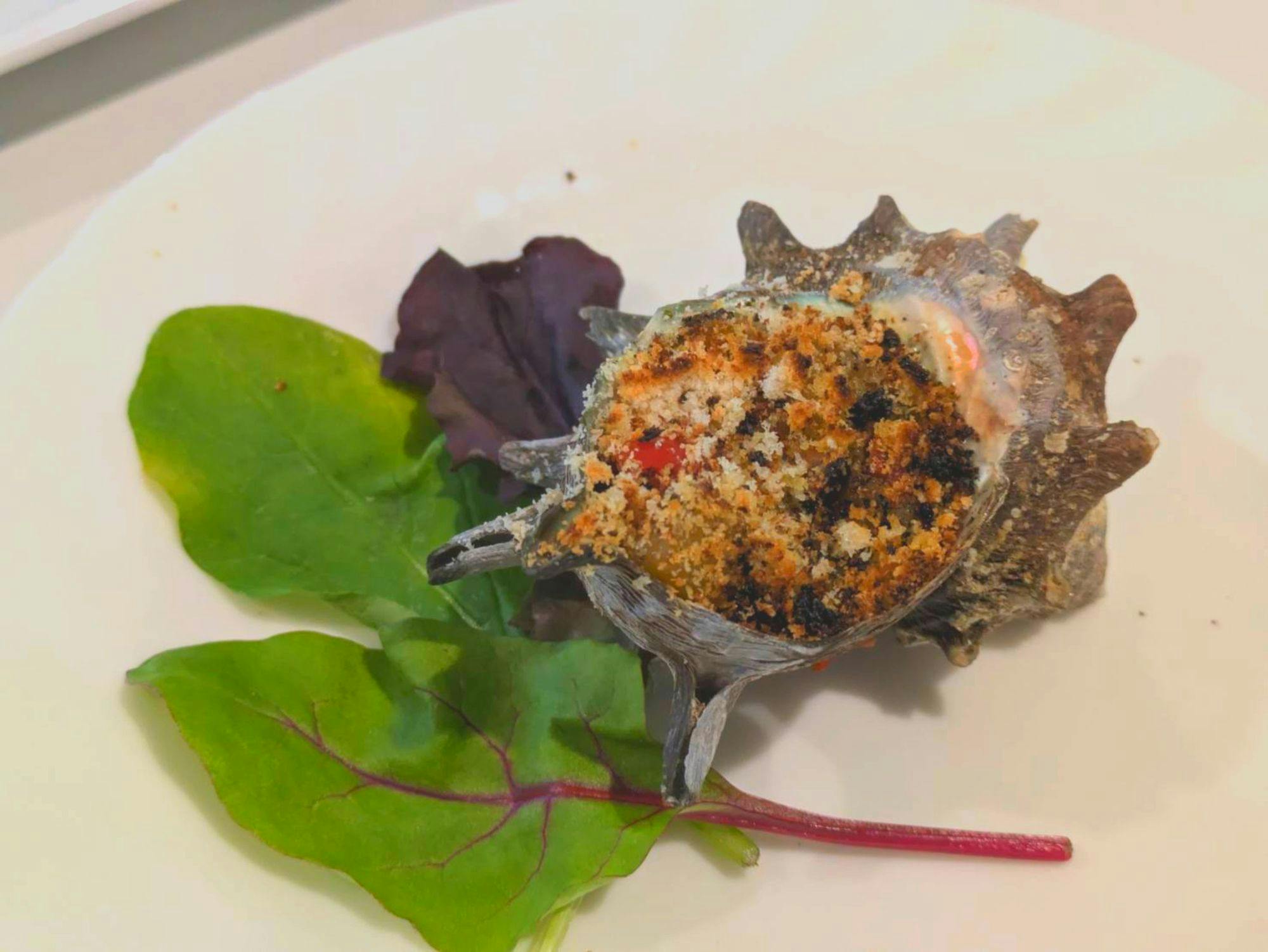 ปลาท้องถิ่นเต็มอิ่ม! อาหารฝรั่งเศสแท้ ※ตัวอย่าง