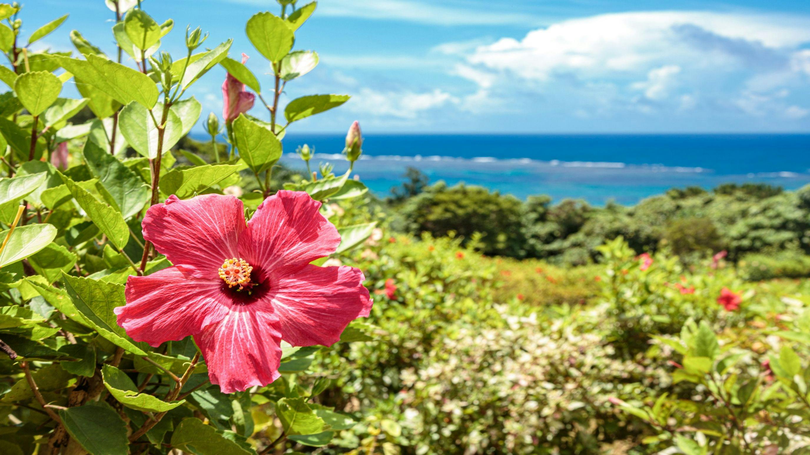 Hotel Fit In Ishigaki Island <Ishigaki Island>