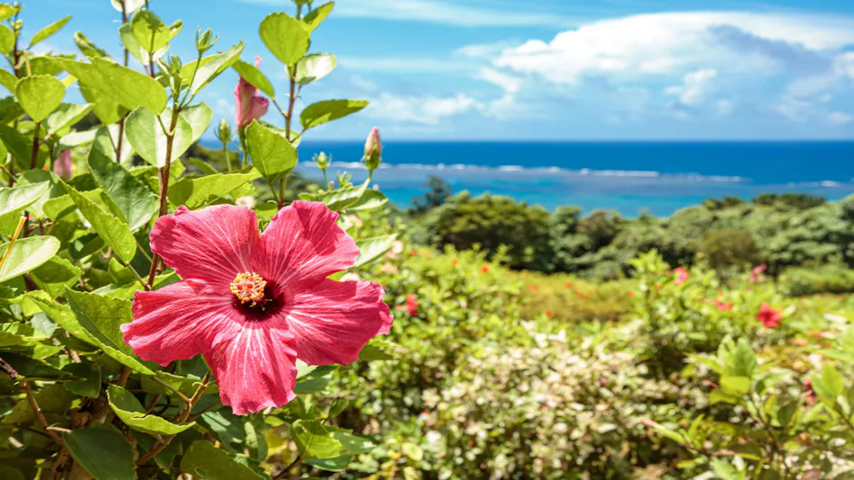Hotel Fit In Ishigaki Island <Ishigaki Island>