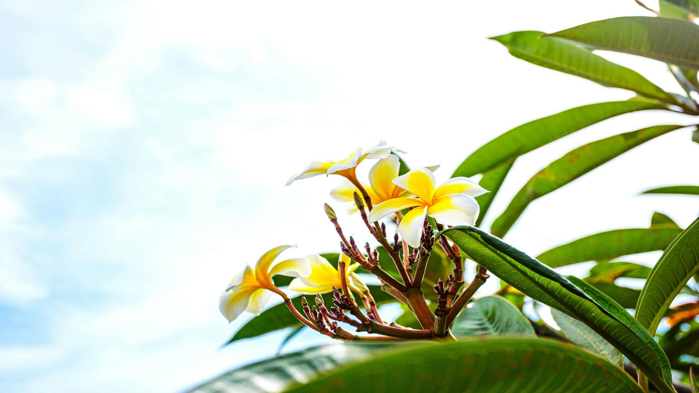 Hotel Fit In Ishigaki Island <Ishigaki Island>