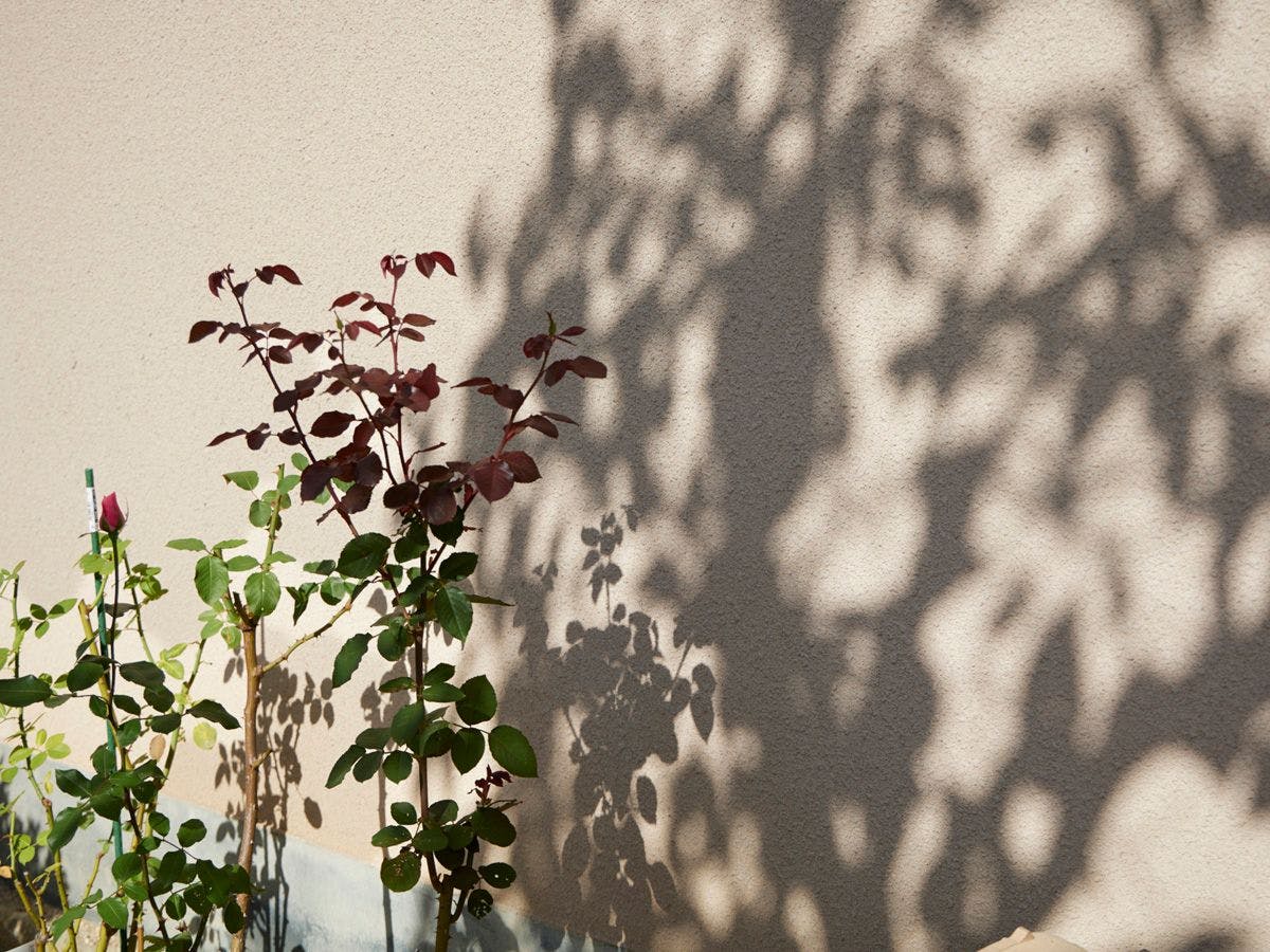Guest House Nodoka