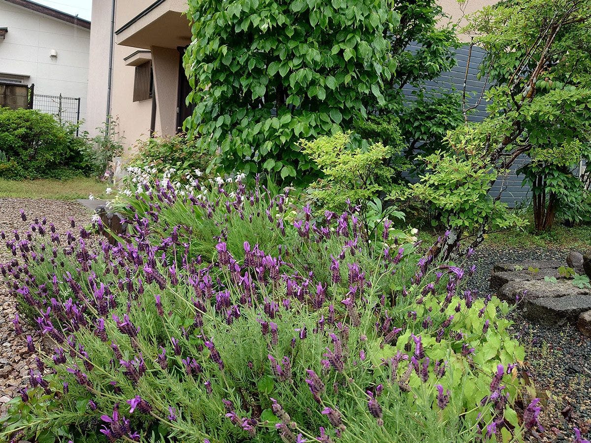 Guest House Nodoka