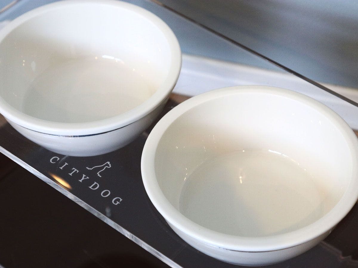 อุปกรณ์สำหรับสัตว์เลี้ยง