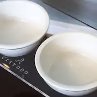 อุปกรณ์สำหรับสัตว์เลี้ยง