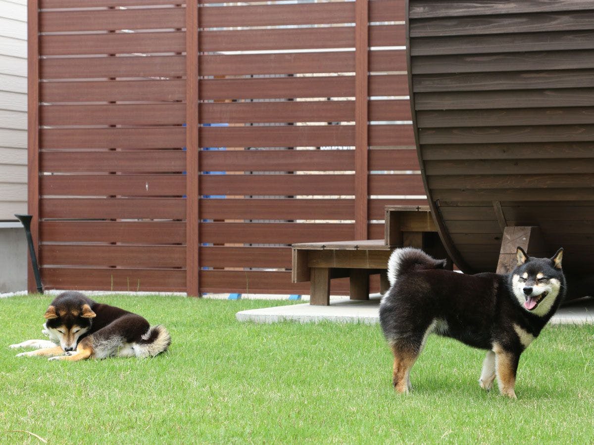 Dog Resort D&K