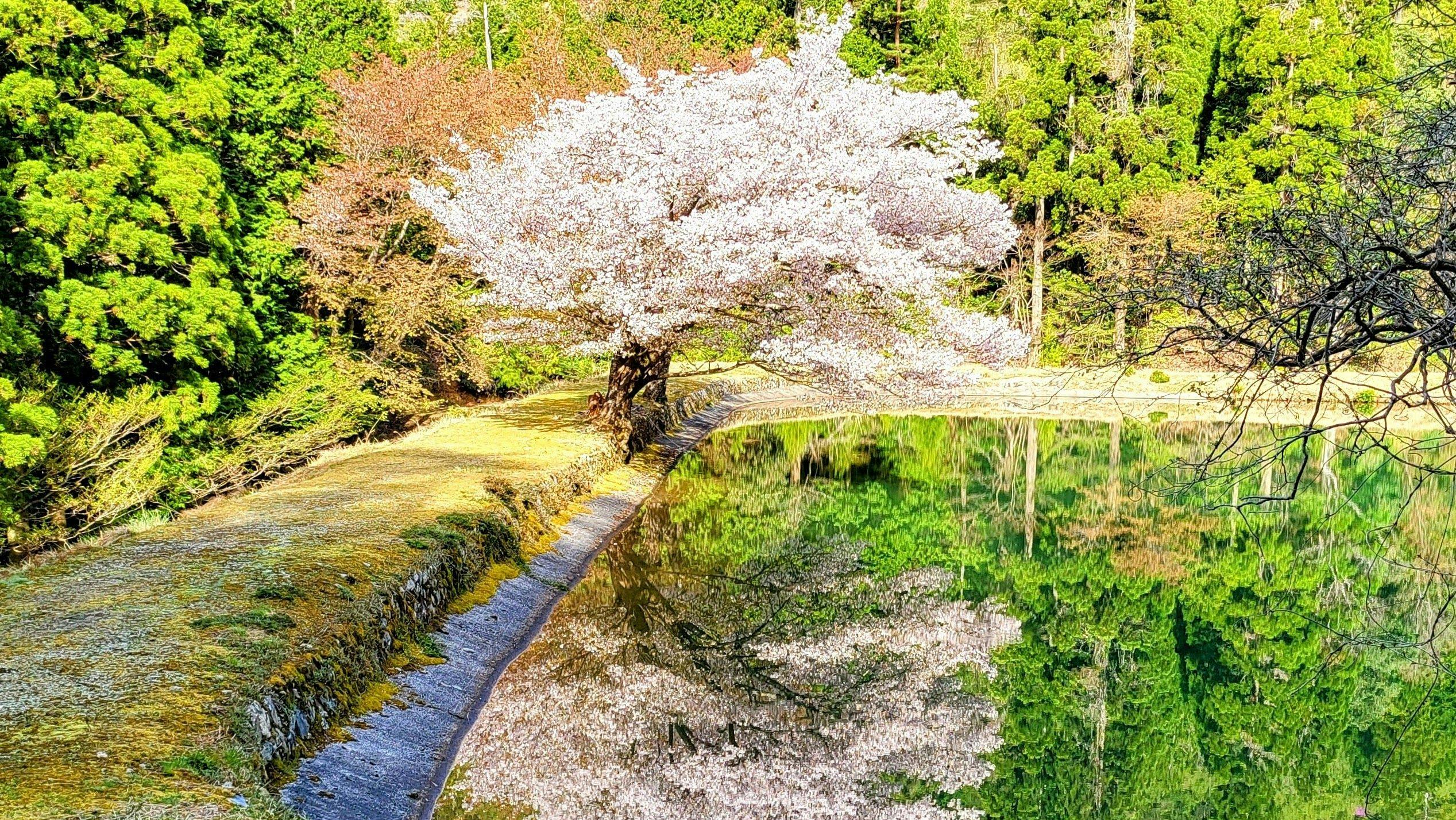Goodrac Stay Kyoto Kameoka