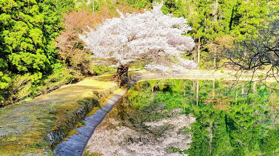 Goodrac Stay Kyoto Kameoka
