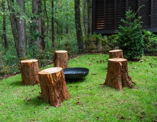 自然の中で焚き火を楽しむことができます