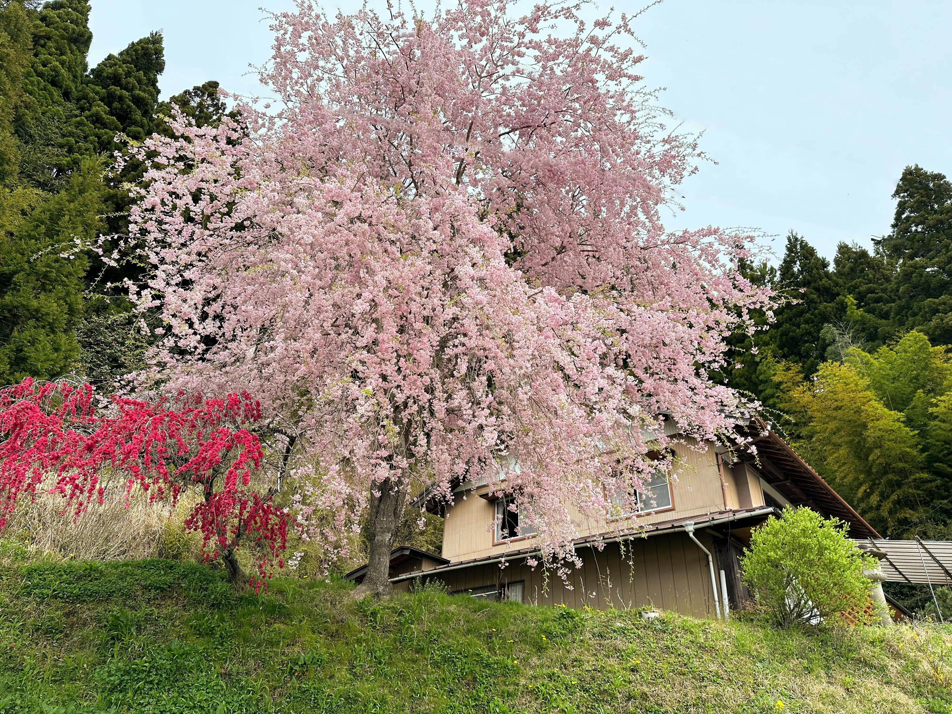 てらわき別棟KAKOUBA&nbsp;施設全景