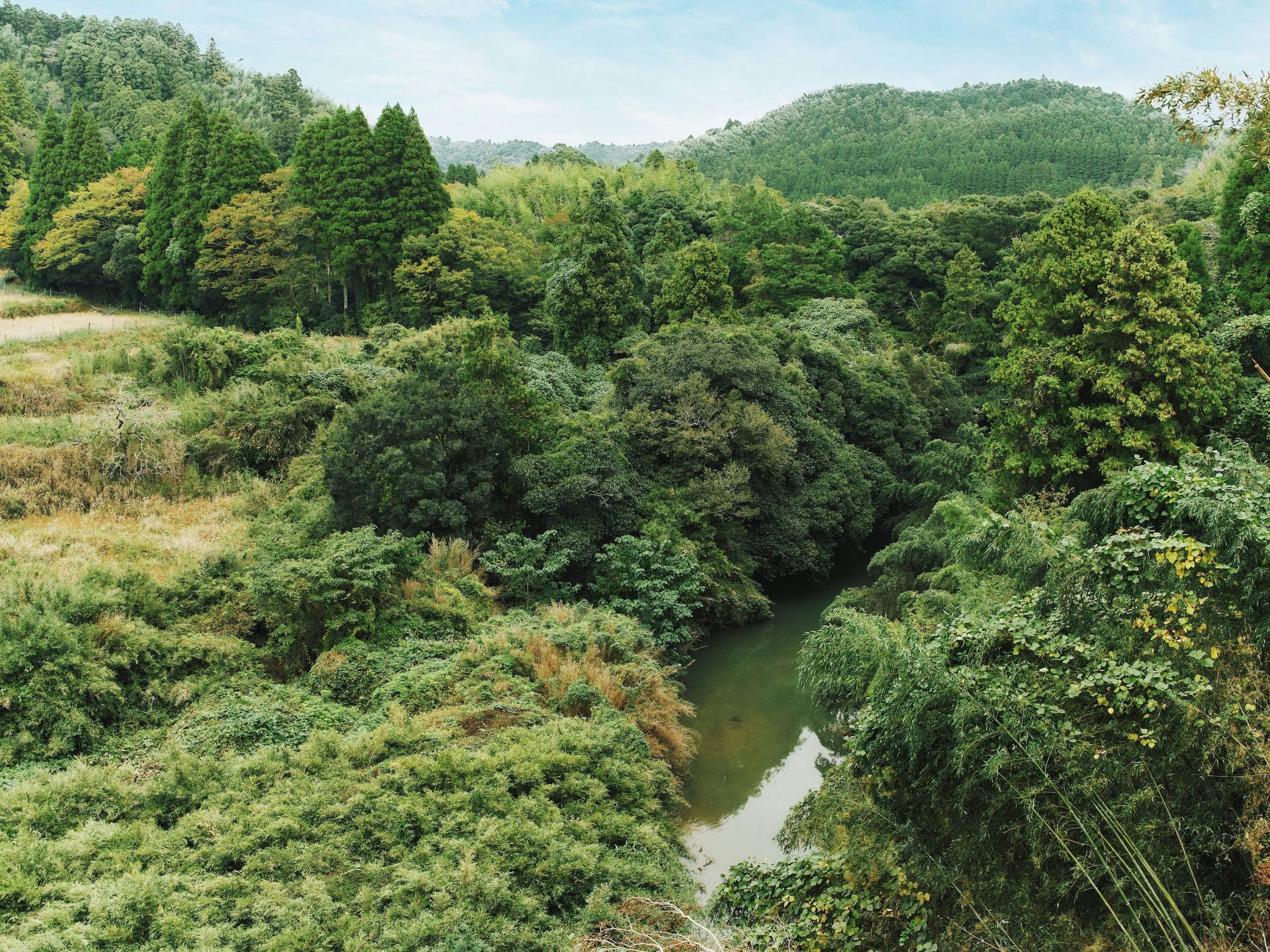 บรรยากาศที่ผ่อนคลายที่สามารถได้ยินเสียงน้ำไหลของแม่น้ำ