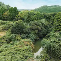 บรรยากาศที่ผ่อนคลายที่สามารถได้ยินเสียงน้ำไหลของแม่น้ำ