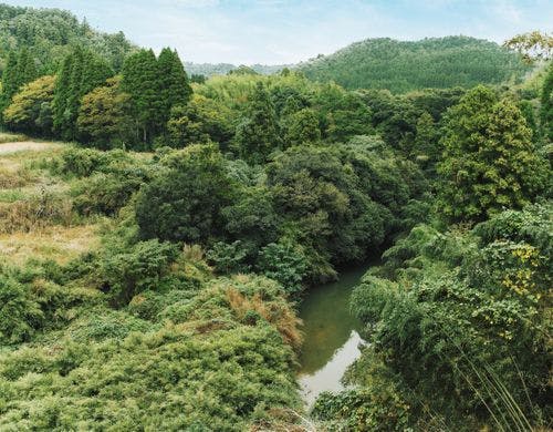 川のせせらぎがきこえる癒やしの環境
