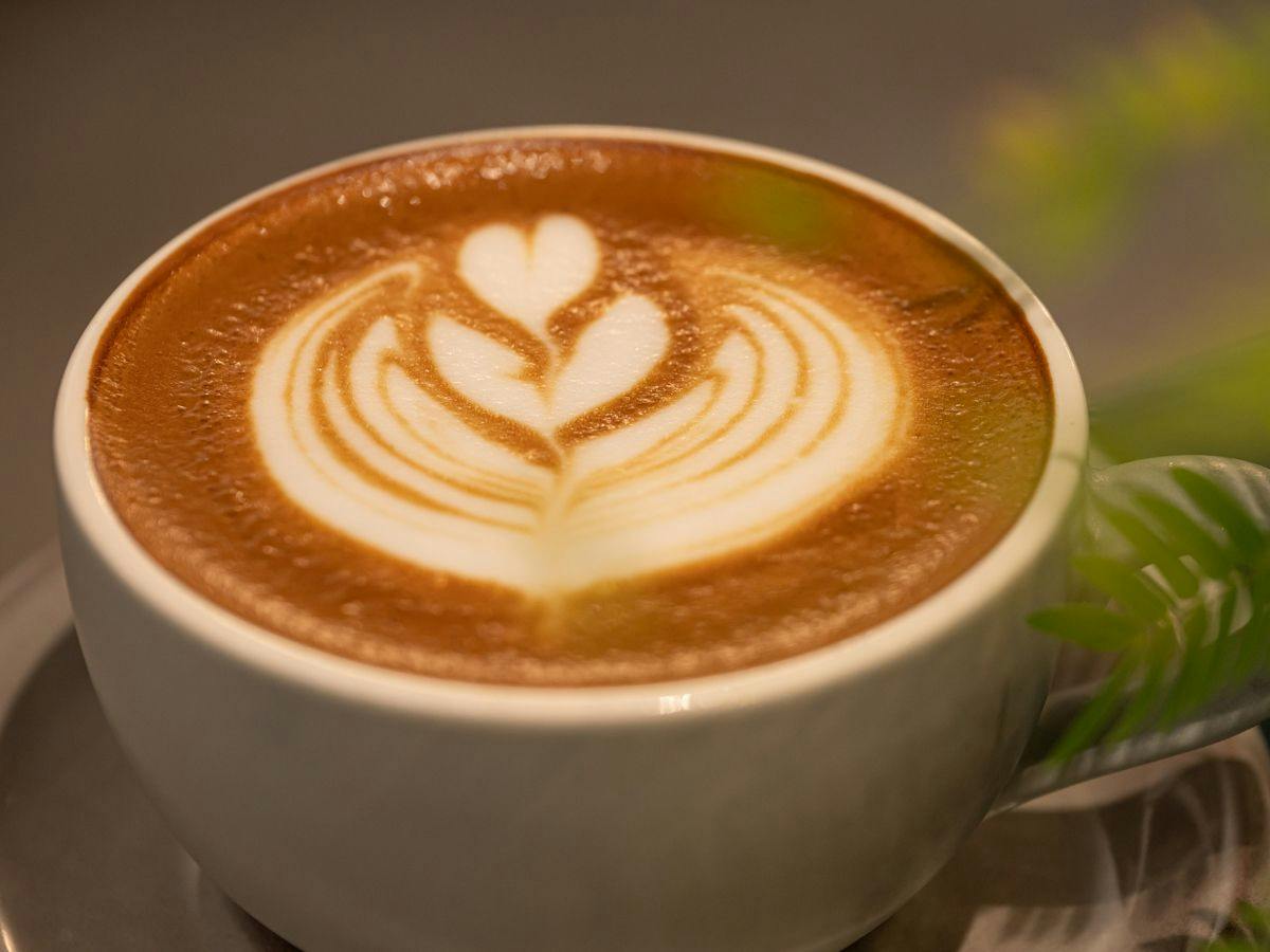 Cafe&stay notA