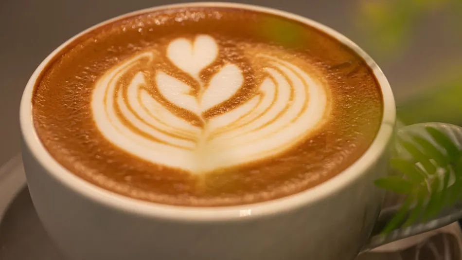 Cafe&stay notA