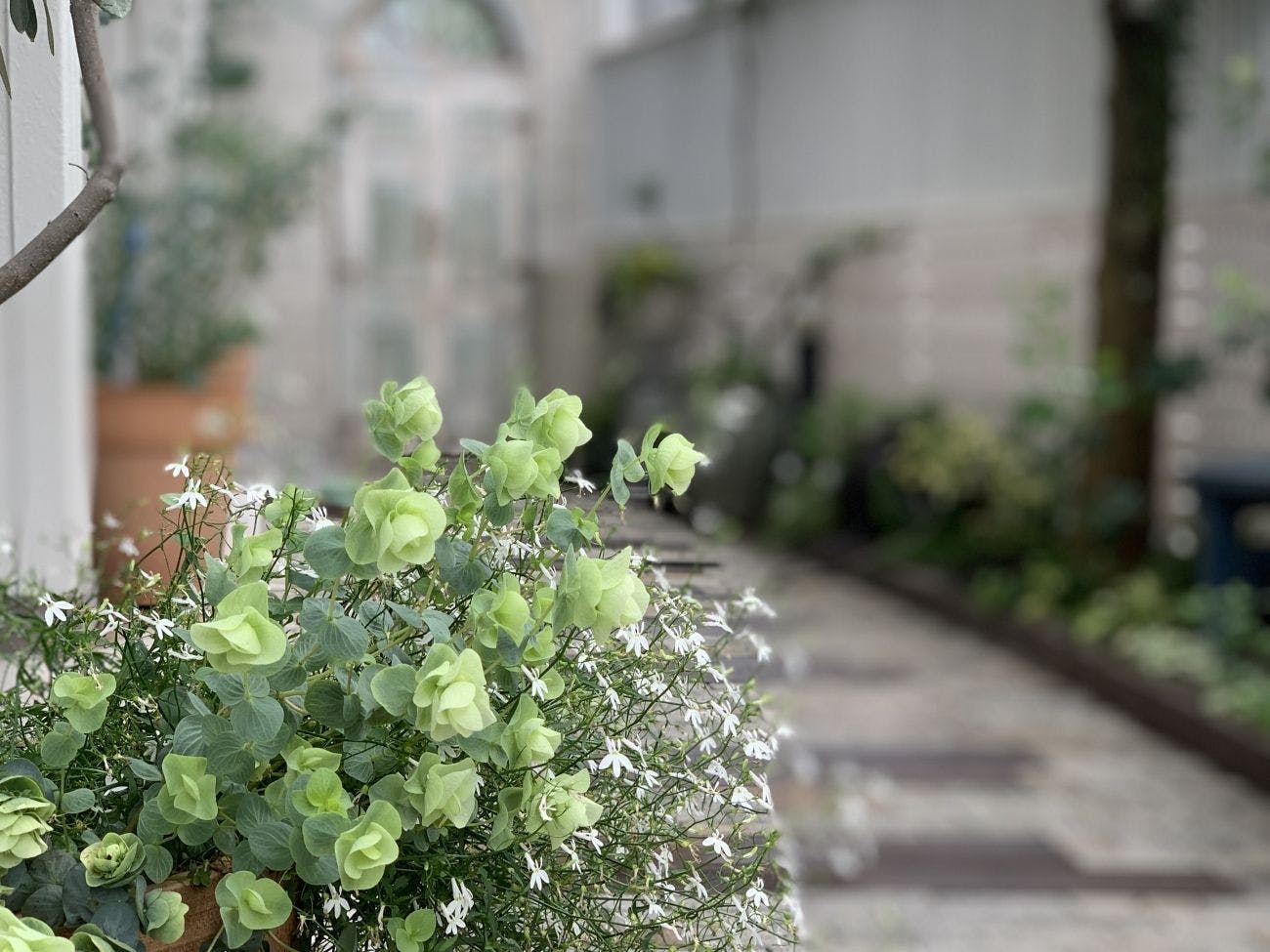 Auberge BELLEZZA YUNOGO