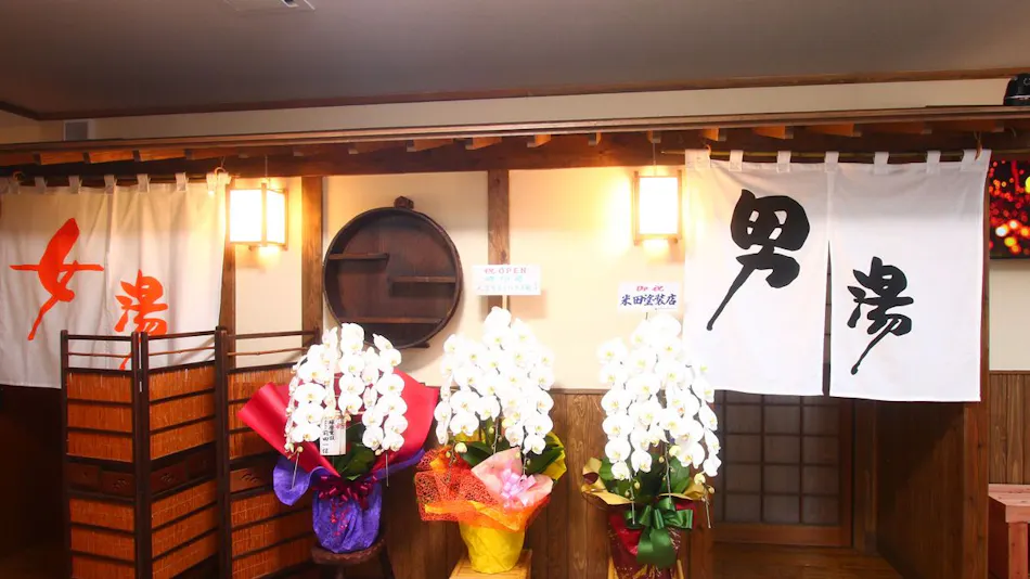 Hitoyoshi Onsen Ooga no Yado