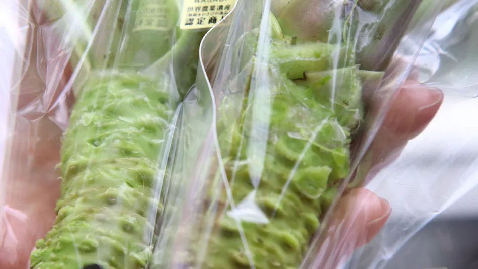 WASABI VILLAGE