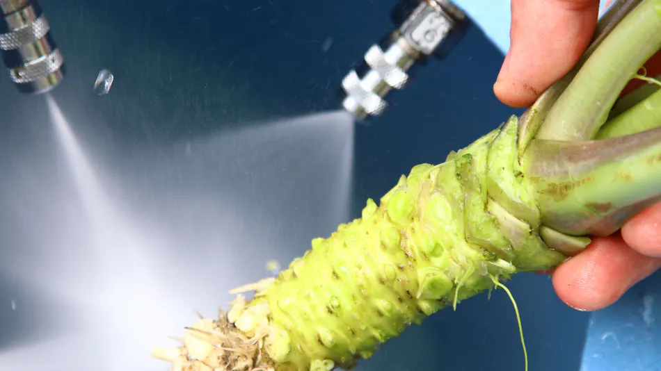 WASABI VILLAGE