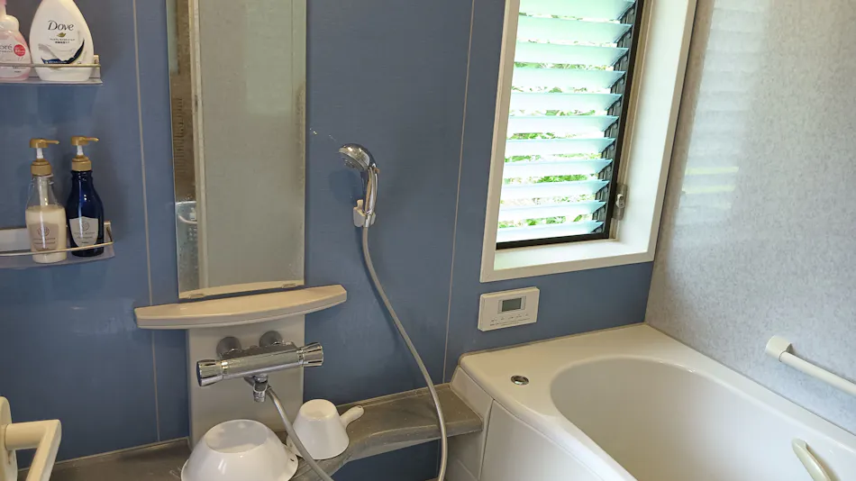 Rental Villa Jacquemontii