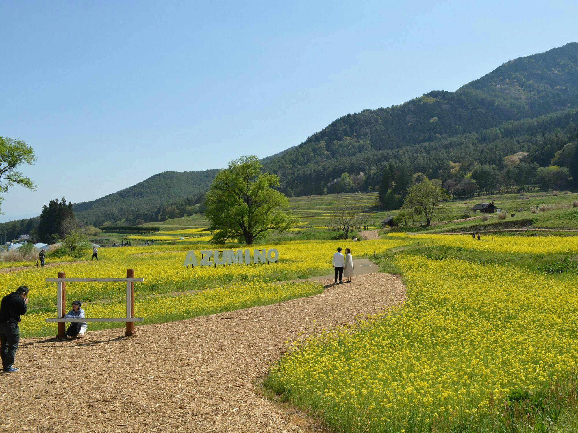 อุทยานแห่งชาติ Alps Azumino Horigane & Hotaka