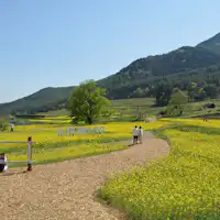 อุทยานแห่งชาติ Alps Azumino Horigane & Hotaka