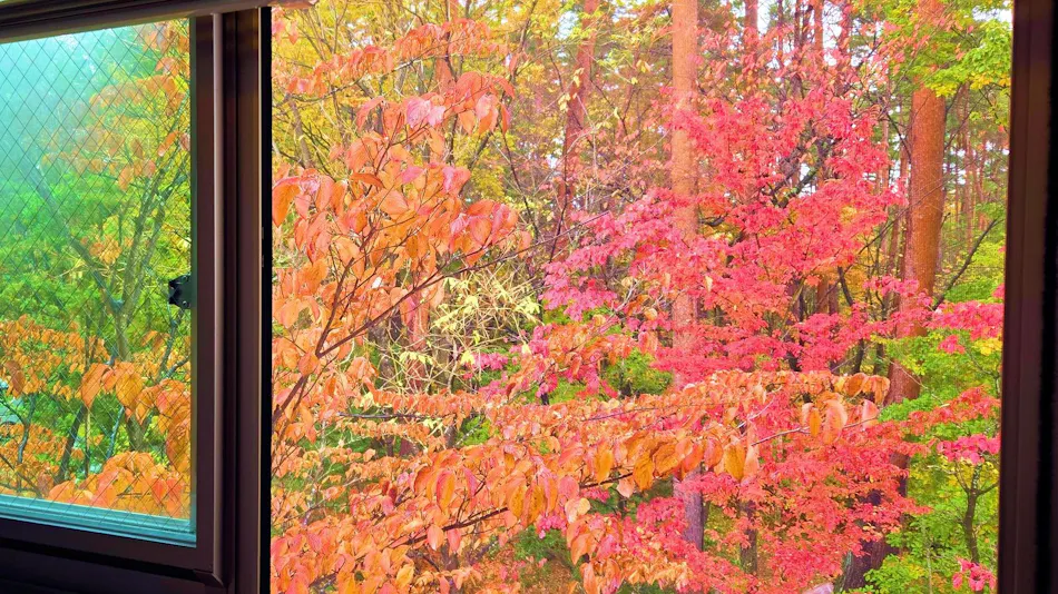 Onsen Hotel Azumino ARTCABIN