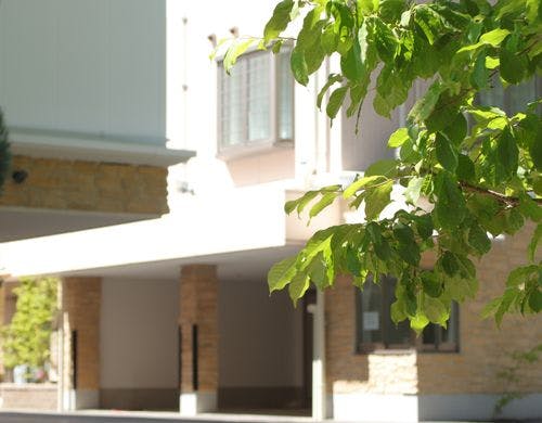 木々に囲まれたホテルでごゆっくりどうぞ