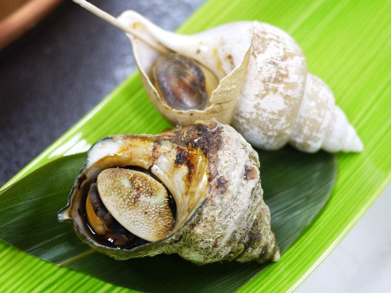 Kuriya Onsen Imai Ryokan