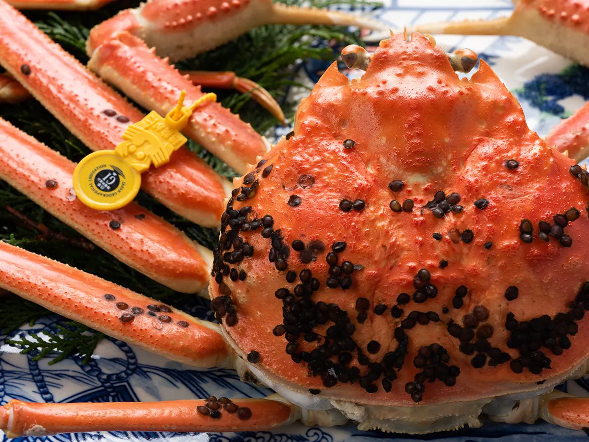 くりや温泉 いまい旅館 - 【特大越前蟹ハーフ】福井の冬グルメ・特大サイズ越前蟹を2名様に1杯ご提供! - ※(1)【禁煙】和室6畳(バス ...